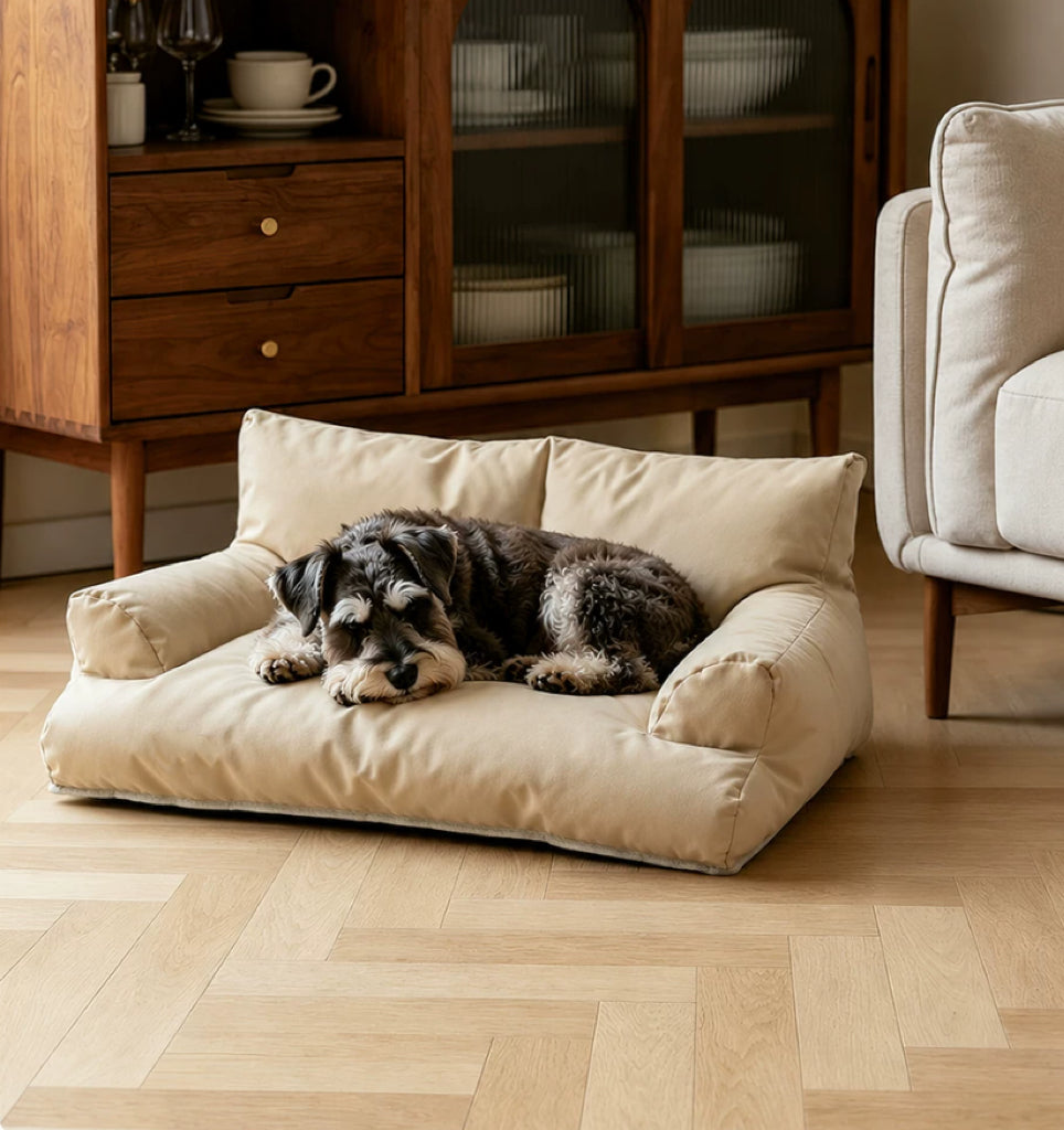 How to Choose the Right Pet Bed for Your Dog or Cat