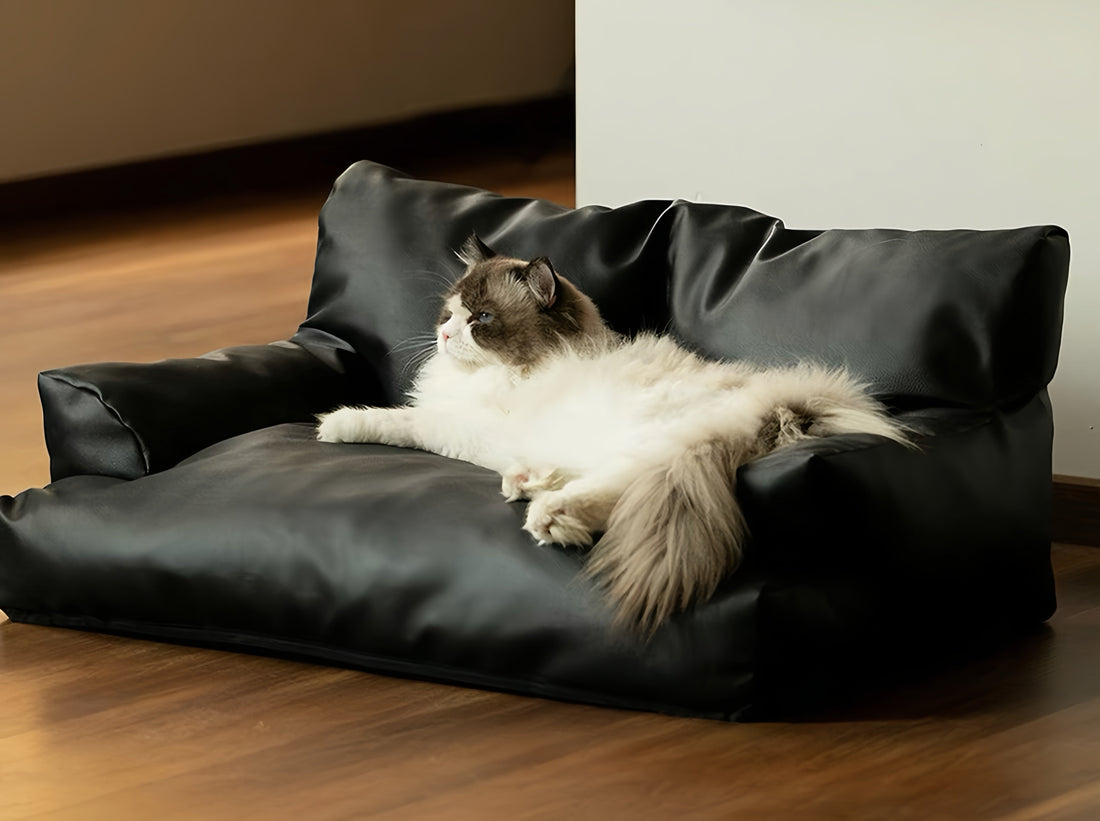 What Bed Shape Works Best for Your Pet’s Sleeping Style?