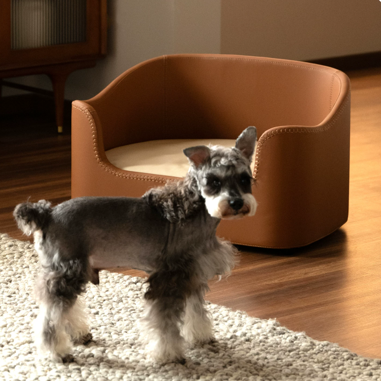Leather, Corduroy, or Wood: Which Pet Bed Material Is Better?
