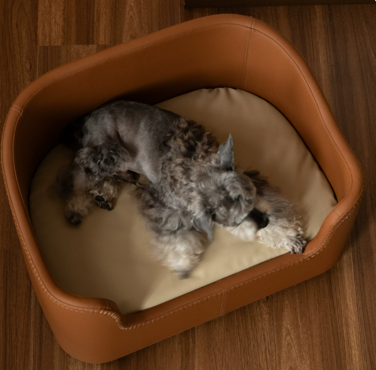 Luxury Pet Couch Bed