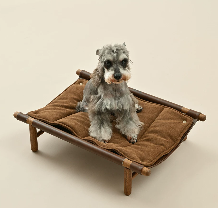 Foldable Elevated Pet Lounge Bed