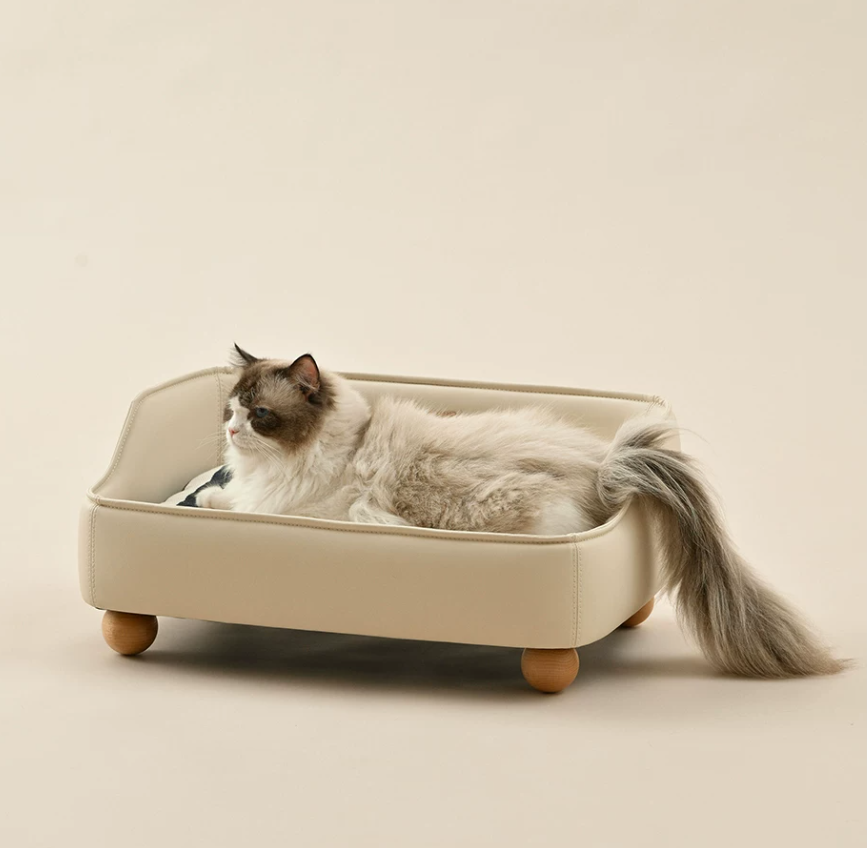 Modern Pet Sofa Bed