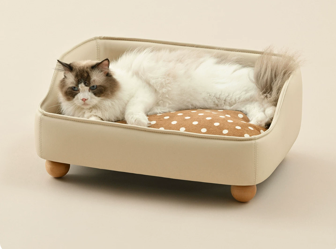 Modern Pet Sofa Bed