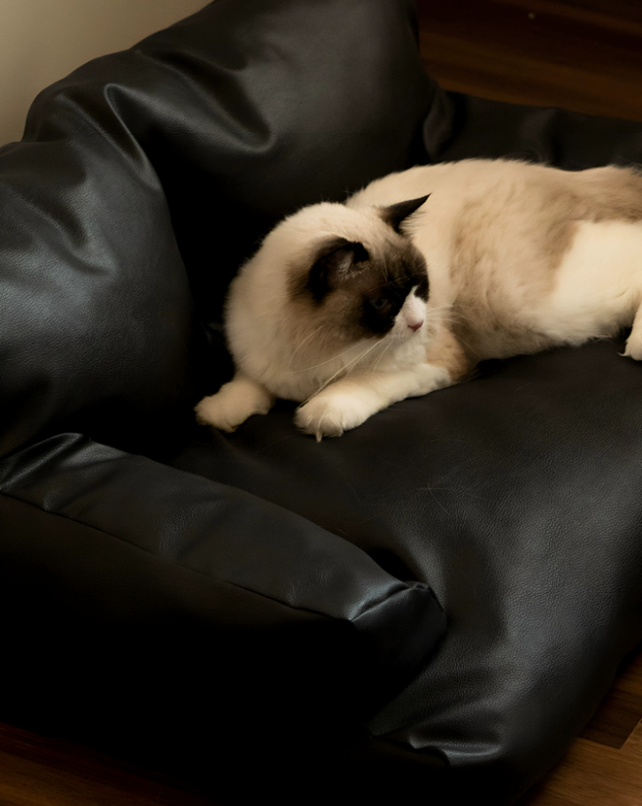 Waterproof Scratch-Resistant Pet Sofa Bed
